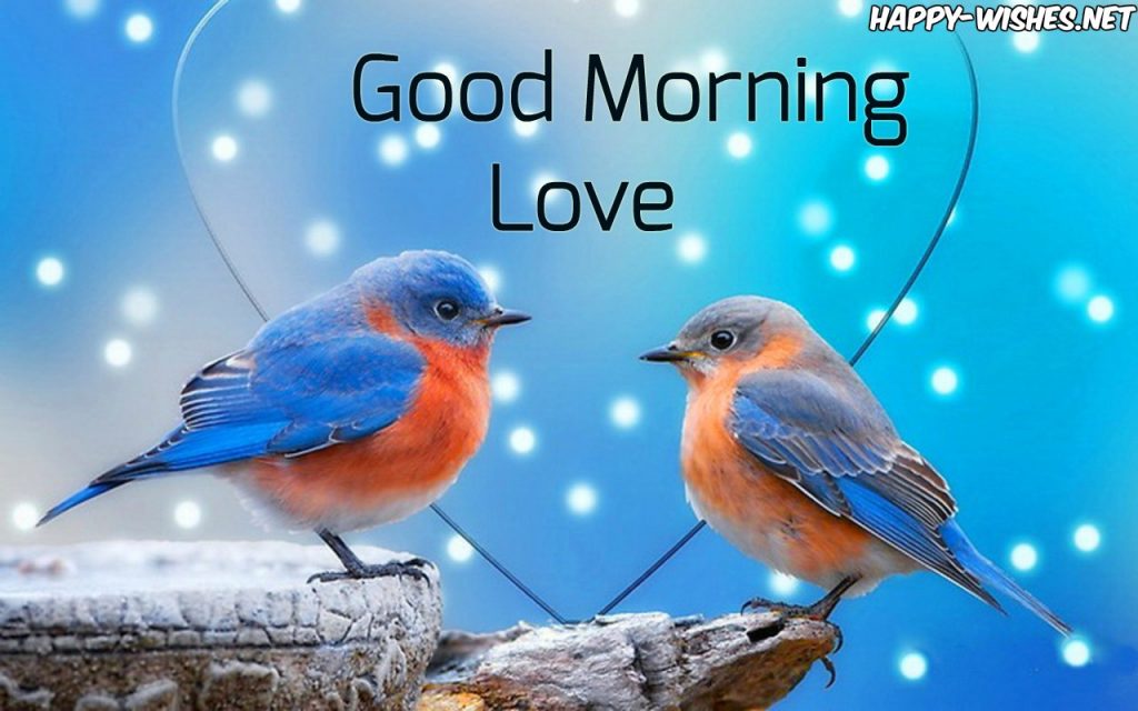 20 Good Morning Wishes With Bird Pictures