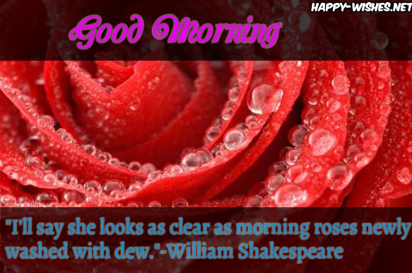 Good Morning wishes with rose images
