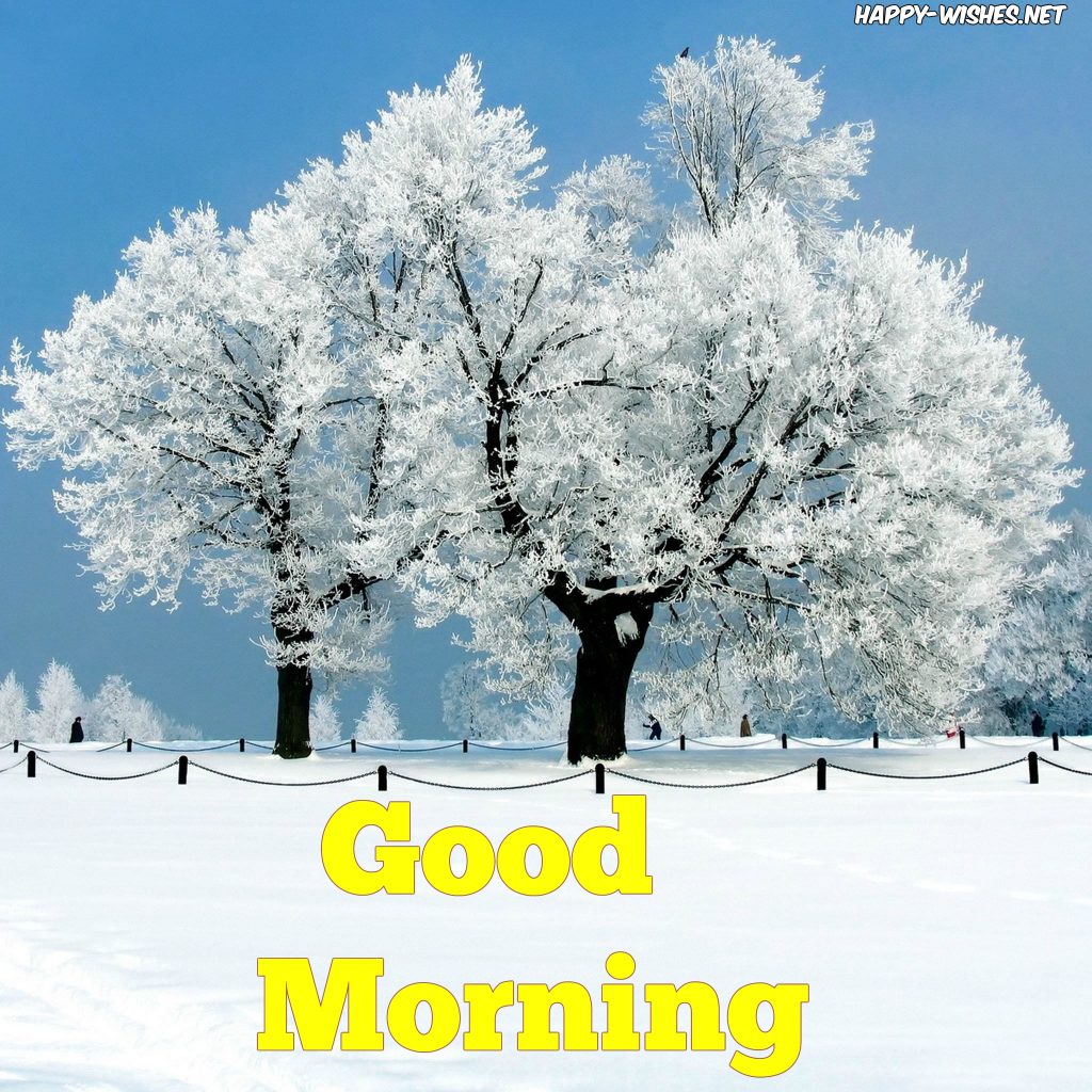 Good Morning wishes with snow on the tree images