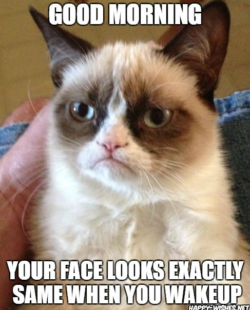 Grumpy cat meme in good morning wishes for him