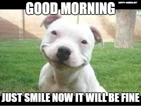 Happy Dog in Good Morning memes