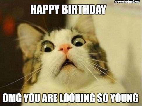 Happy birthday woman meme with shocked cat meme