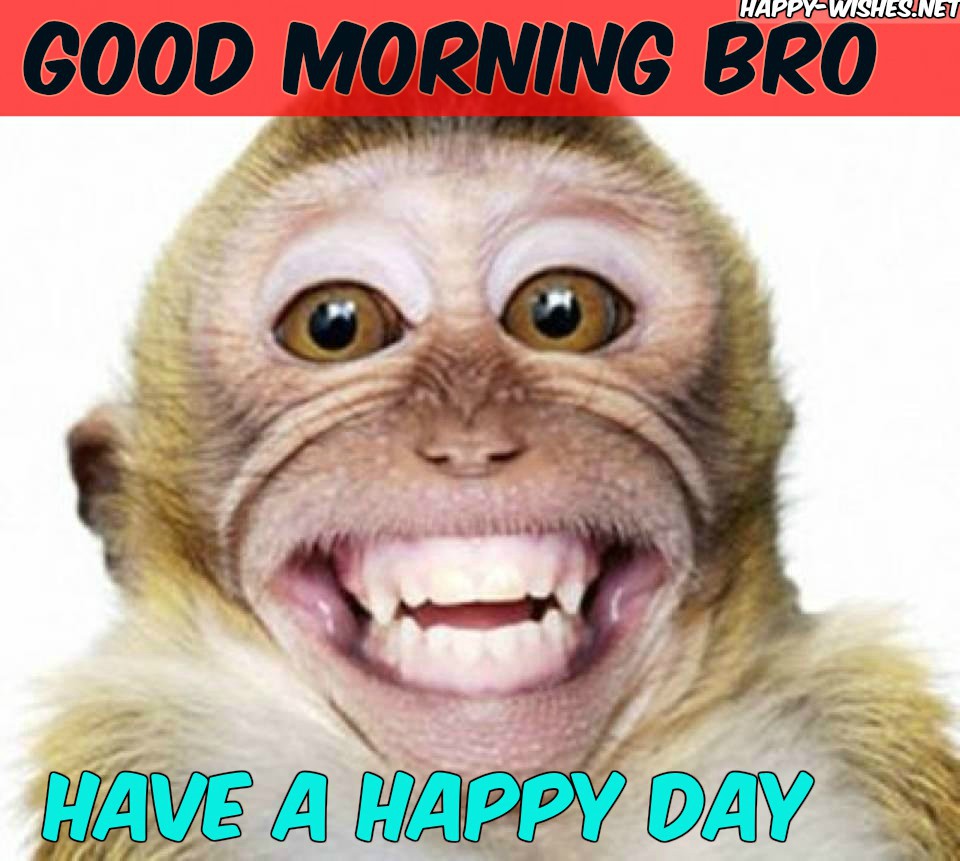 Laughing Monkey Good Morning