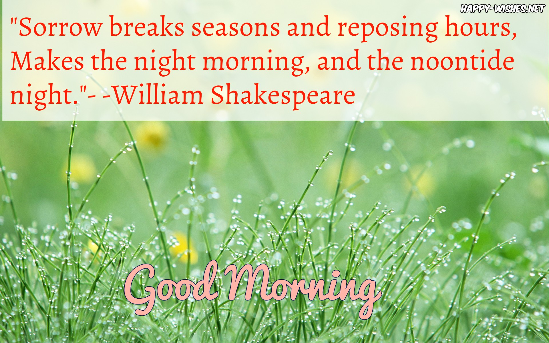 12 Best Shakespeare Good Morning Quotes