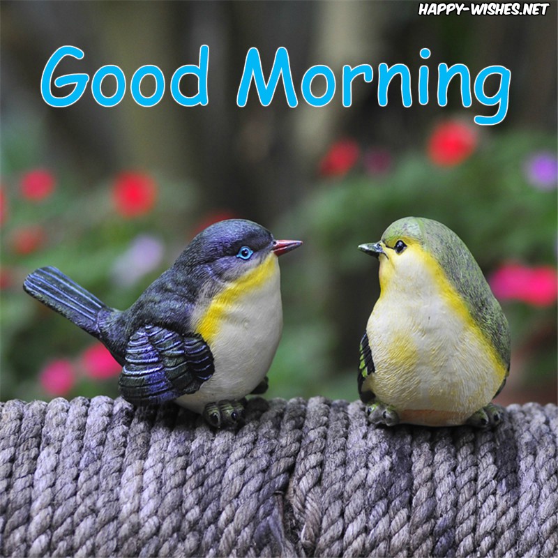 Small Good Morning Birds