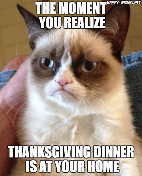 Thanks giving meme with grumpy cat memes