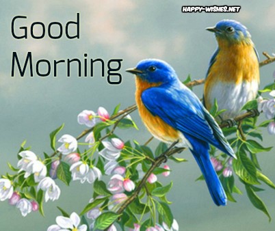 Two cute birds in Good Morning Wishes - Copy