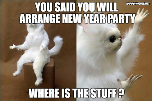 Angry cat on new year memes