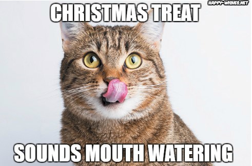 Funny cat christmas memes