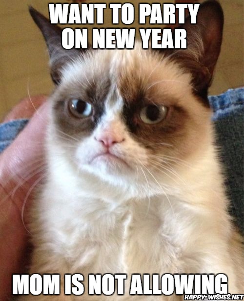 Happy new year cat memes