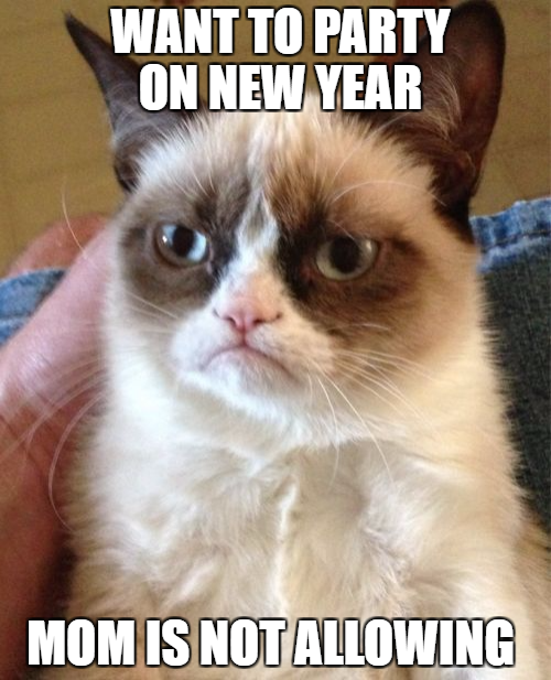 Happy new year cat memes