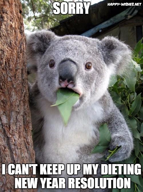 new year dieting resolution memes for friends