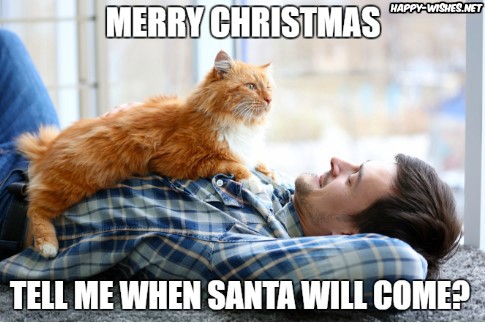 when santa willl come funny cat christmas memes