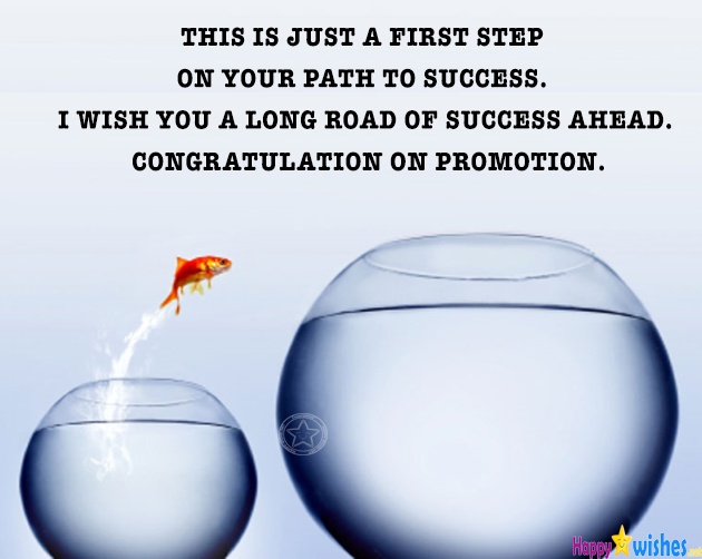 Congratulations on your first success