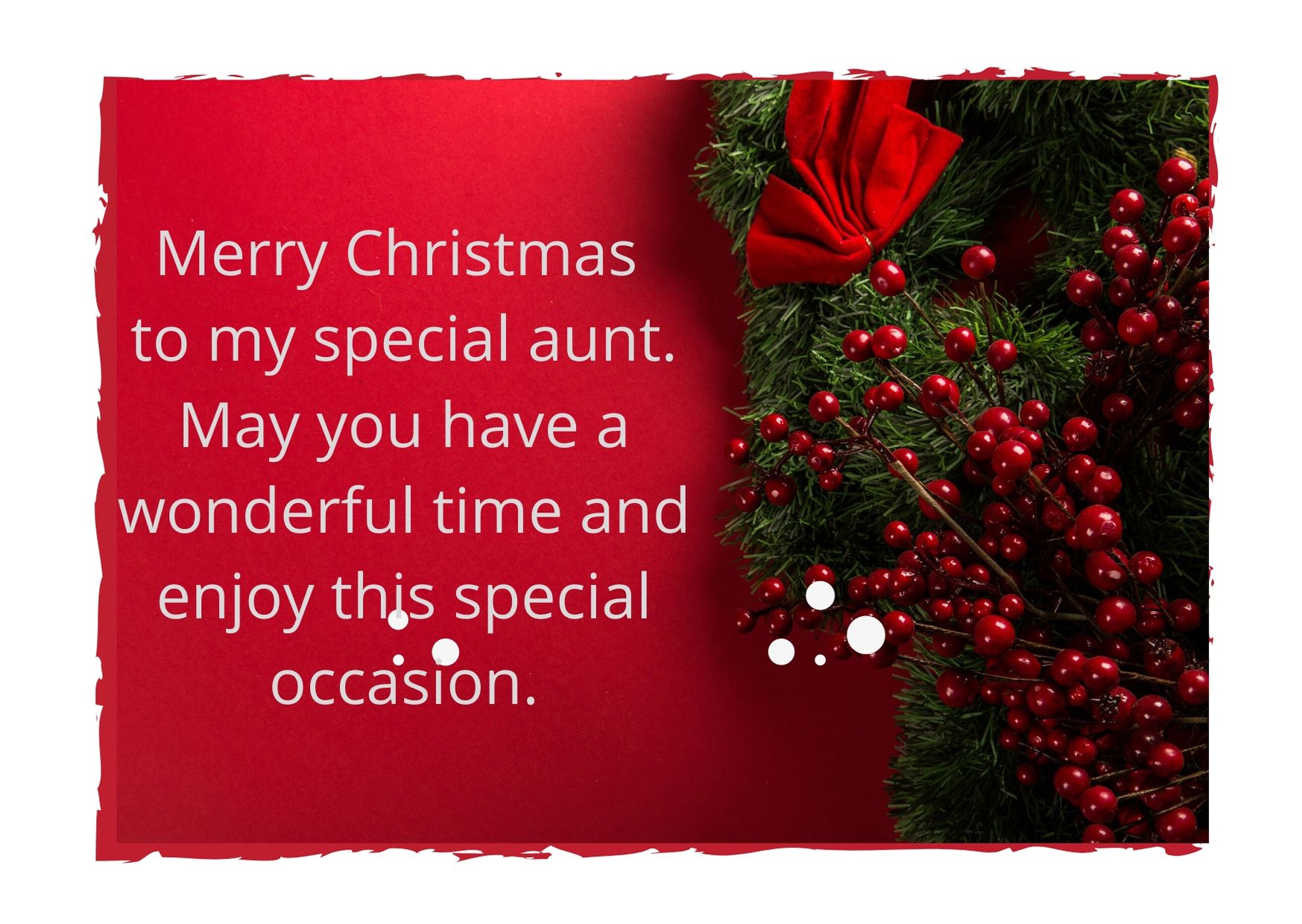 wishing you a Merry Christmas my Aunt 